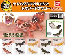 Bandai Gashapon Smooth knob-tailed & Leopard Gecko Action Figure Complete Set picture