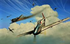 Masters of the Sky by Richard Taylor signed by four 352nd Fighter Group veterans picture