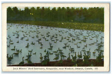 c1940's Jack Miner's Bird Sanctuary Kingsville Ontario Canada Unposted Postcard picture
