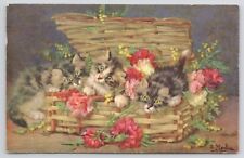 Postcard Three Long Haired Calico Kittens Cats in Basket w/Flowers Posted 1954 picture