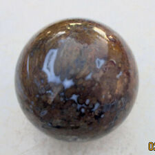 Fossilized Indonesian Palm Root 72mm Sphere for Collection or Home Decor 5068 picture