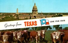 Greetings From Texas Lone Star State Capitol Whiteface Cattle Vintage Postcard picture
