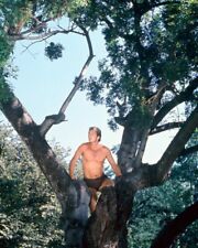 Tarzan Featuring Ron Ely 24x36 inch Poster in tree picture