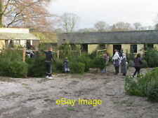 Photo 12x8 Christmas tree sales yard at Raby Castle Buying a tree is a fam c2010 picture