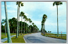 c1960s Majestic Royal Palms Line Road Vintage Postcard picture