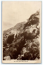 1938 In The Red Sea Hills Sudan Africa to Brownsville TX RPPC Photo Postcard picture