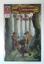 Dungeons And Dragons: In Shadow Dragons #2 Kenzer And Company 2001 Comic Book picture