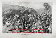 Dog Border Collie & Sheep Show, Huge Double-Folio 1880s Antique Print picture