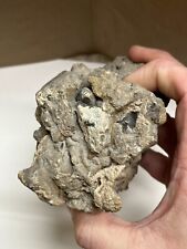 Frosted Smoky Quartz Cluster Large with Lots of Features 2lb 5oz picture