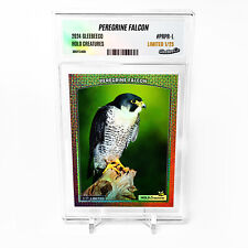 PEREGRINE FALCON Holographic Photo Card 2024 GleeBeeCo Slabbed #PRPR-L Only /25 picture