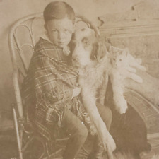Cat Dog Stereoview Kilburn c1891 Boy Child With Pet Victorian Chair Photo O218 picture