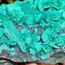 3.9LB  Natural sphalerite & ANTLERITE * Rare ARSENATE Minerals-Museum level picture