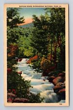Shenandoah National Park, Rapidan River, Antique, Vintage Souvenir Postcard picture