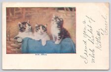 Postcard Three Tabby Kittens Cats in Basket 