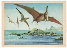 1983 DINOSAURS Pteranodons PREHISTORIC ANIMALS PALEONTOLOGY RUSSIA POSTCARD Old picture