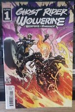 Ghost Rider Wolverine Weapons of Vengeance Alpha picture