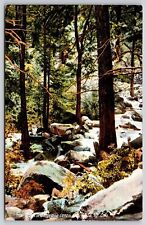 Brook Cheyenne Canyon RY Colorado Forest Colo Great Western Post Card Postcard picture