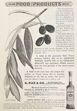 Antique 1888 Print Ad~FINE SUBLIME LUCCA OIL S.Rae&Co Tuscany Italy Olive Branch picture
