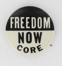 Original Congress Of Racial Equality 1965 CORE Freedom Now SCLC Chicago Pin  picture