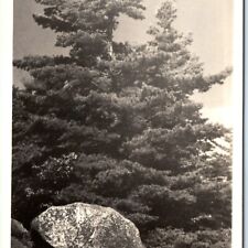 c1940s Bald Mountain, NY RPPC Balanced Rock Adirondacks Rare Cunningham PC A114 picture