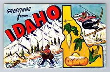 IA-Idaho, General Large Letter Greeting, Antique Vintage Souvenir Postcard picture