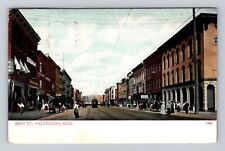 Kalamazoo MI-Michigan, Business Section on Main Street, Vintage c1907 Postcard picture