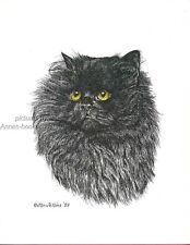 #325 LONG HAIR BLACK CAT *  cat art print  *  pen & ink drawing by Jan Jellins picture
