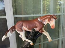 CM OOAK Custom Resin Model Horse Seunta “Caliente” picture