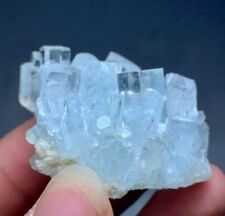 220 CTS Terminated Aquamarine Crystal Bunch From Pakistan picture
