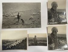 Vintage Pre-WWI C. 1900s Photo Lot British Shepherd Sheep Herder West Midlands picture