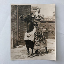 Press Photo Photograph Horse Dressed as Motorcycle Bike London News Agency 1933 picture