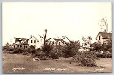 Anoka MN Wrecked Homes After Tornado~Trees Down~Birdhouse Stands (Mt 10:29) RPPC picture