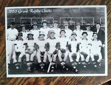 Baseball AAGPBL's Grand Rapids Chicks Team Pic 1954 Champions 5