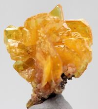 WULFENITE MIMETITE Crystal Cluster Mineral Specimen SAN FRANCISCO MINE MEXICO picture