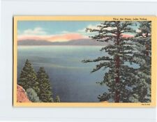 Postcard Thru the Pines Lake Tahoe picture
