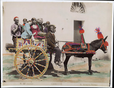 Giuseppe Incorpora, Italy, Palermo, Vintage Albumen Print Drawing Alb Cart picture