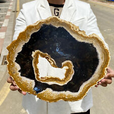7.58LB Large Natural Petrified Wood Crystal Fossil Slice Shape Specimen Healing picture