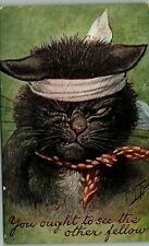 c1910 Arthur Thiele Signed Tuff Black Cat Bandages Anthropomorphic Postcard 7-1 picture