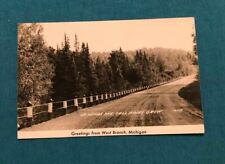 RPPC Vintage Postcard - Greetings From West Branch, Michigan MI  picture