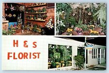 Ft. Lauderdale Florida Postcard H&S Florist Inc. Multiview c1960 Vintage Antique picture