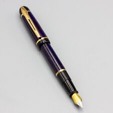 Waterman Phileas Fountain Pen - Blue Marble with Purple Accents picture