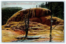 1908 Orange Geyser Yellowstone National Park Canon City Colorado CO Postcard picture