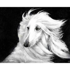 ✿ ORIGINAL Oil Dog Portrait Painting AFGHAN HOUND White Artist Signed Artwork picture