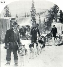 Gold Rush Dog Team Gold Miners Arctic Circle, Alaska Stereoview 11-43 picture