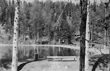 Delaney's Trout Farm Sattley California 1950s view OLD PHOTO 2 picture