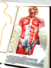 vtg 1968 Anatomical Chromographs XRays Skull Skeletons MAN WOMAN nice picture