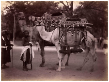 India, Gobindram and Oodeyram, Jeypore, Jaipor, Jodpur, Vintage Albumen picture