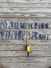 Bulk South Carolina Oyster Shells, Cleaned and Scrubbed 1-5 inches, 30 Shells picture