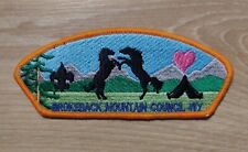 BSA Brokeback Mountain CSP patch / mocking protest Scout badge picture