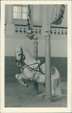 Austria, Spanish Riding School Vienna. Levade in the Pillars Vintage Silver  picture